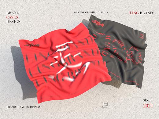 LingBrand 视觉系统