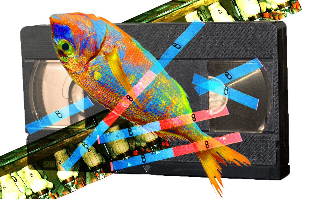 KALACEN的个人主页（封面预览） - 主页封面设置 - 站酷设计师KALACEN原创素材 - 站酷ZCOOL