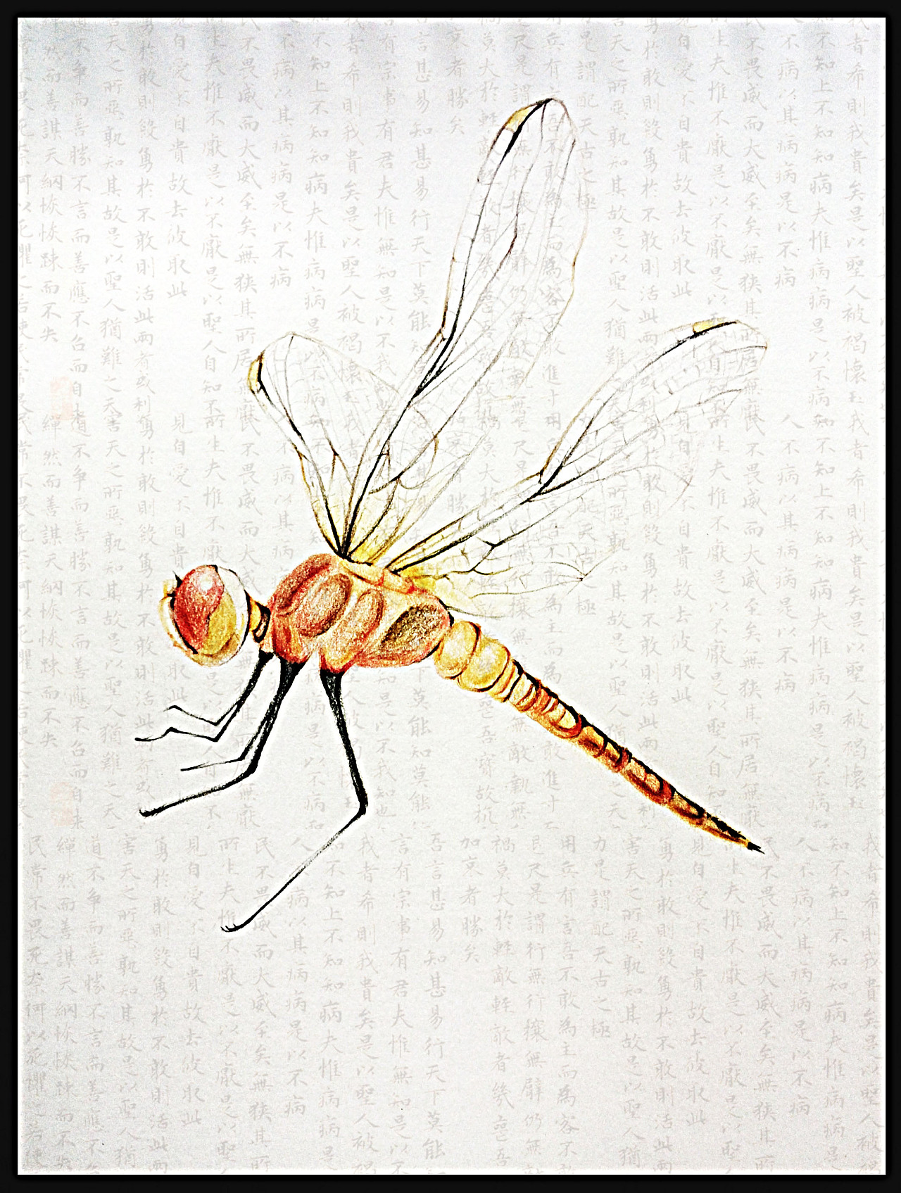 一只蜻蜓怎么画 一只蜻蜓怎么画才能又像又简单_简笔画-绘画者图库