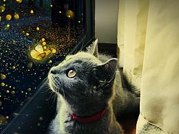 小蓝猫简修