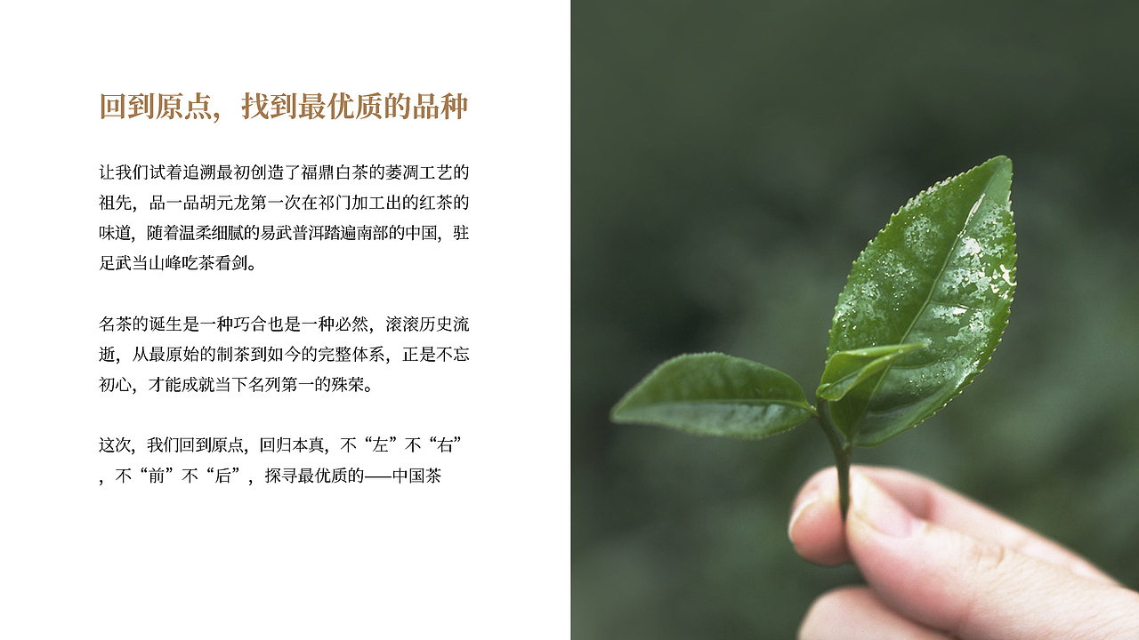 源物纪概念茶包装设计（图ZMjQ2NjMxMjg4） - 包装 - 站酷设计师风四里原创素材 - 站酷ZCOOL