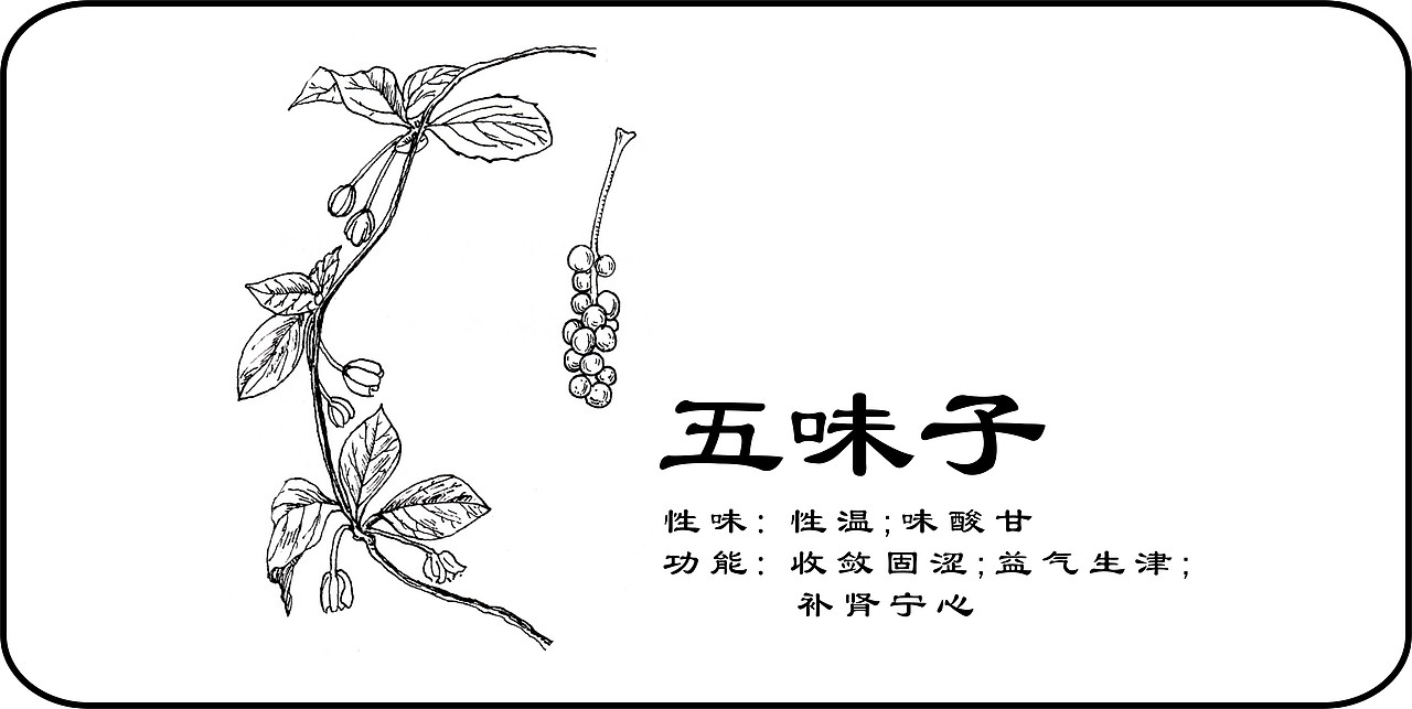 中草药手绘标示（图ZMzY3NTI3MDA=） - 创作习作 - 站酷设计师一二零七原创素材 - 站酷ZCOOL