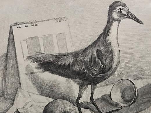 2018年的素描学习