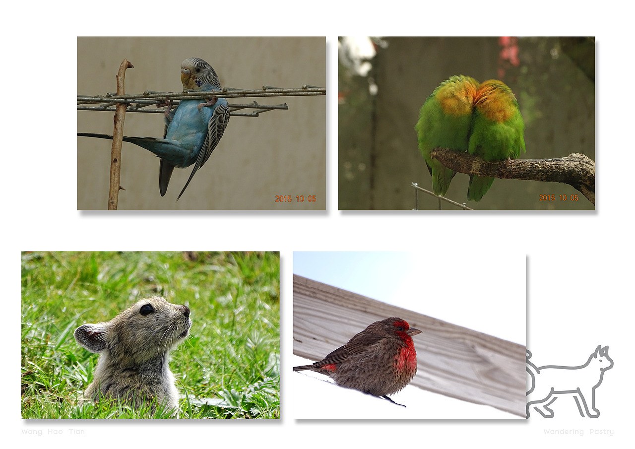 工业设计作品集-2021（图ZMjYzMTI1OTg4） - 其他工业/产品 - 站酷设计师游荡的金楚糕原创素材 - 站酷ZCOOL