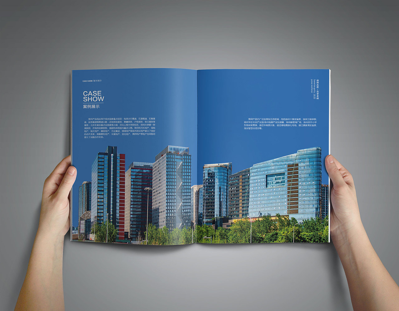 原创/企业画册（图ZMjUyODY5ODQ4） - 书籍/画册 - 站酷设计师不吃辣的辣辣原创素材 - 站酷ZCOOL