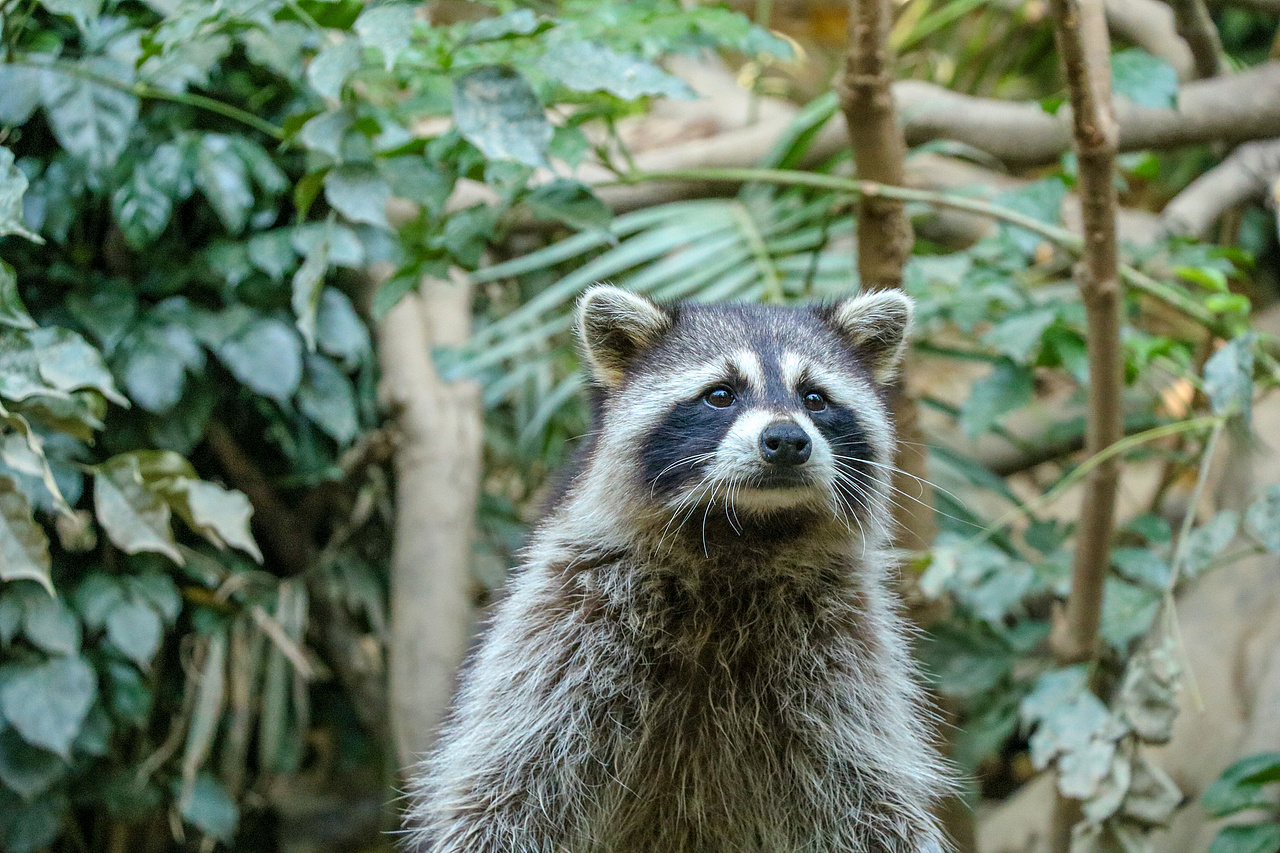 顺德长鹿休闲度假农庄（图ZMjUxNzg0NjI4） - 风光摄影 - 站酷设计师光速工作室原创素材 - 站酷ZCOOL