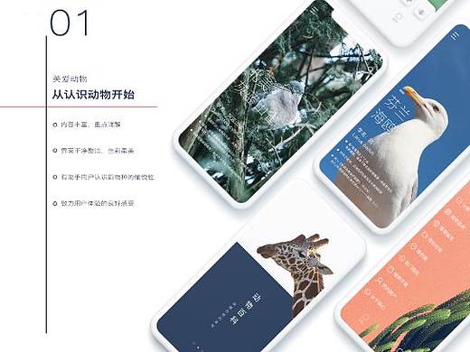 动物世界（个人主页-ZMzc2NTYxMjA=） - APP界面 - 站酷设计师明將原创素材 - 站酷ZCOOL