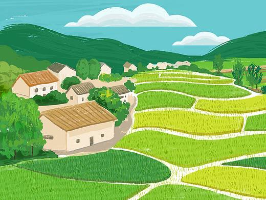 插画 | 小满稻田