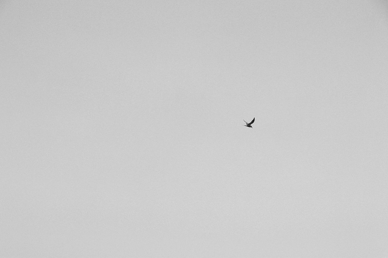 2021.5.2 海堤摄影（图ZMjUzNDYzMjE2） - 风光摄影 - 站酷设计师Z1ne原创素材 - 站酷ZCOOL