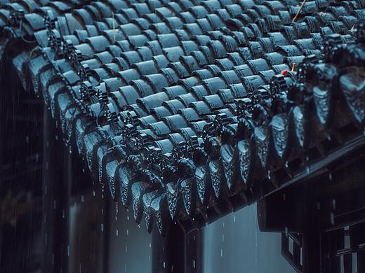 瞻园夏雨