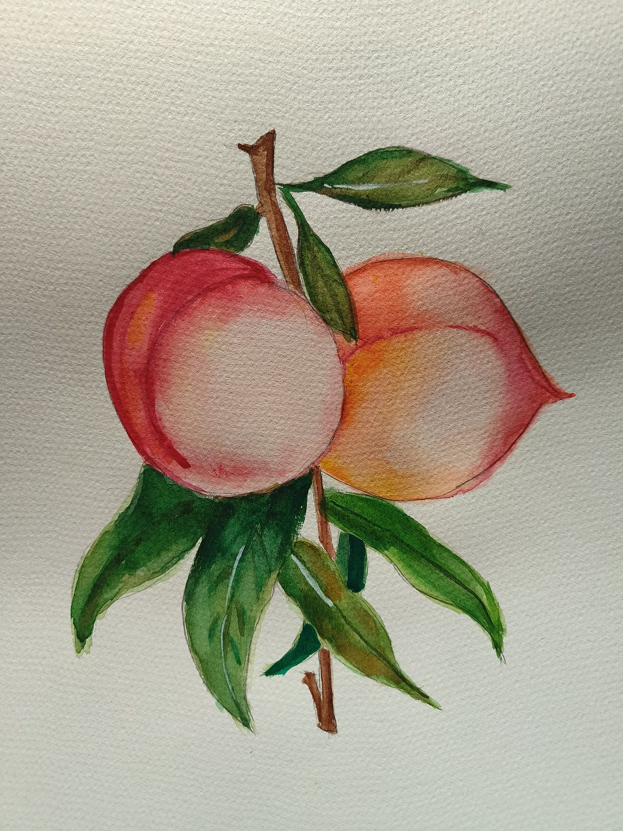 接水彩和速写代画哦，需要的私