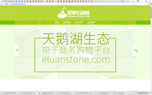 项目宣传网页设计