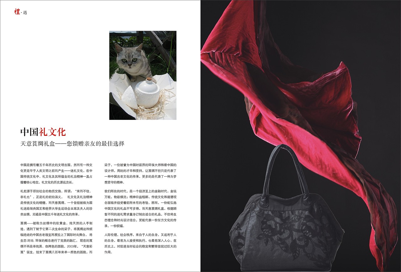 画册（图ZODI1OTgwNjA=） - 书籍/画册 - 站酷设计师泰达罗斯原创素材 - 站酷ZCOOL