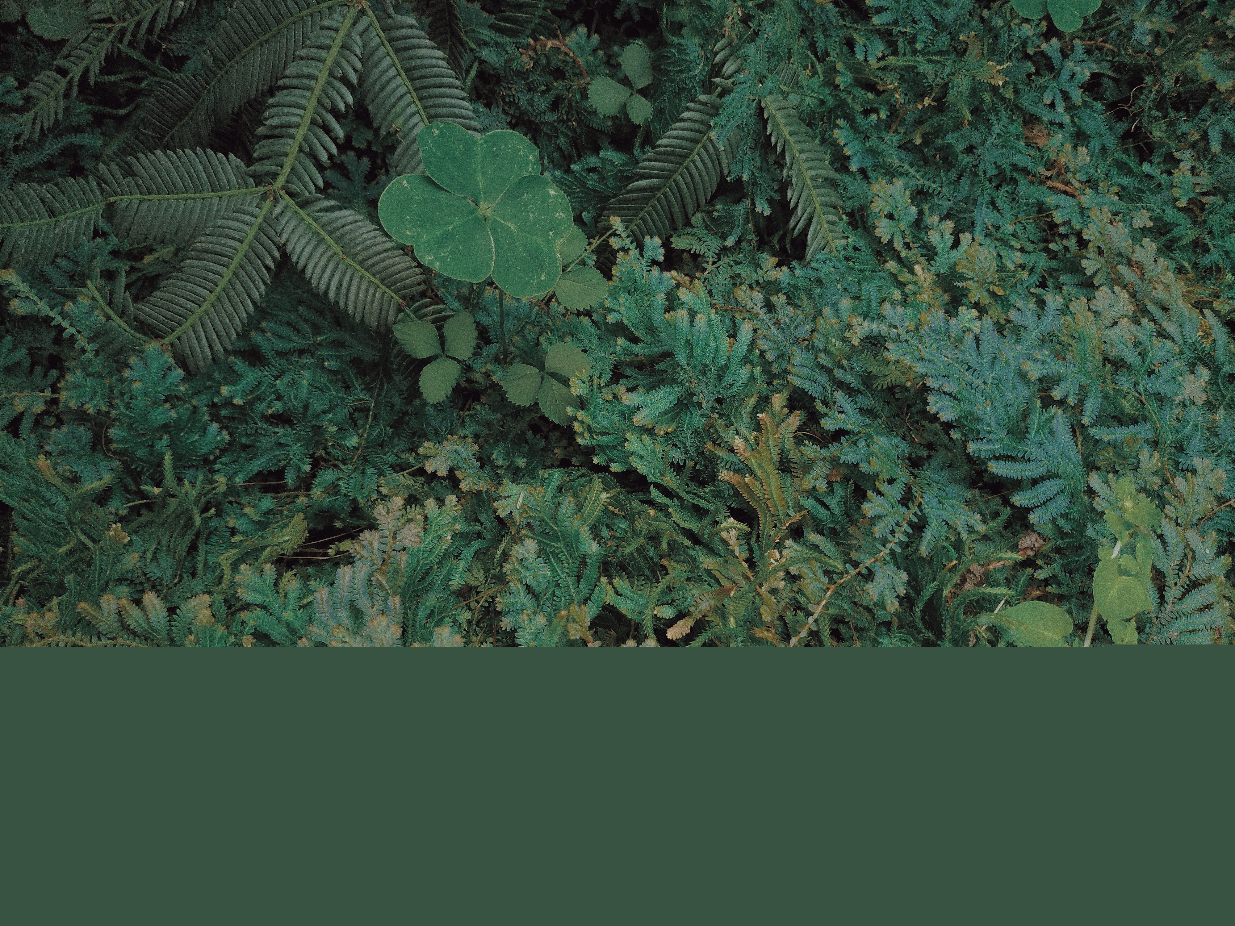 老衲叶修的个人主页（封面预览） - 主页封面设置 - 站酷设计师老衲叶修原创素材 - 站酷ZCOOL