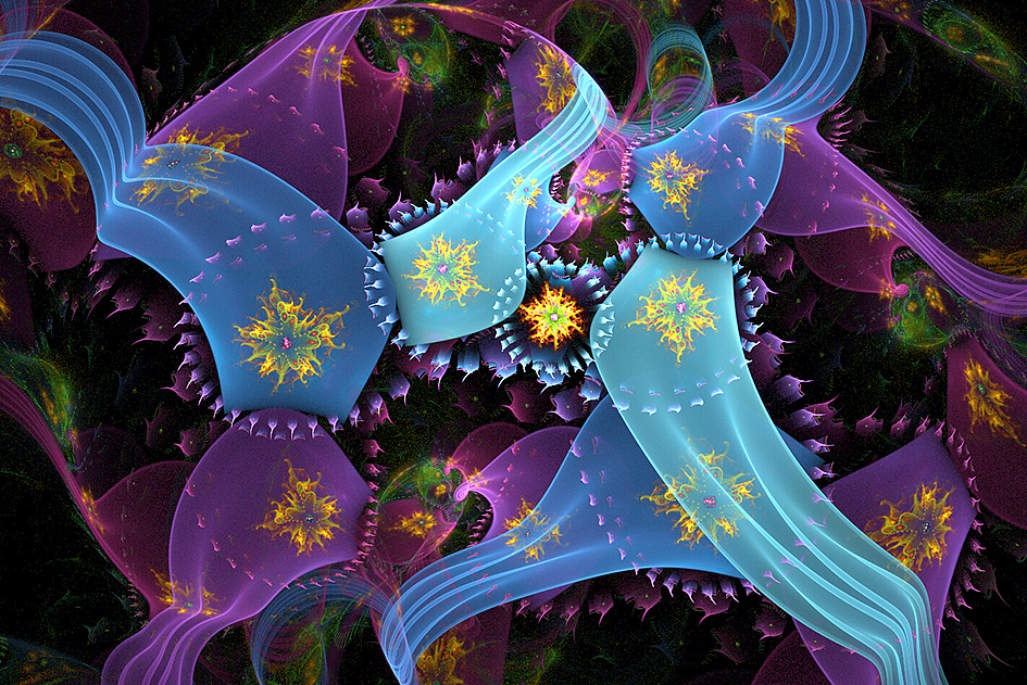 分形(Fractal)第二十一辑:美丽的多肉植物及其它
