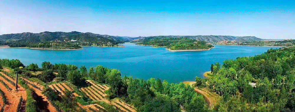 鱻淼酒庄 - 如鱼得水