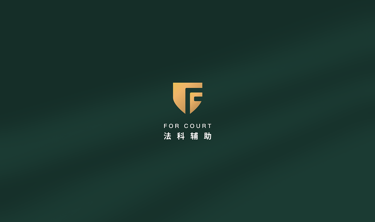 北京法科辅助品牌视觉VI设计