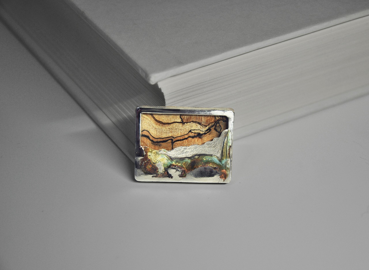 我在小小的窗口里看见了山海和世界