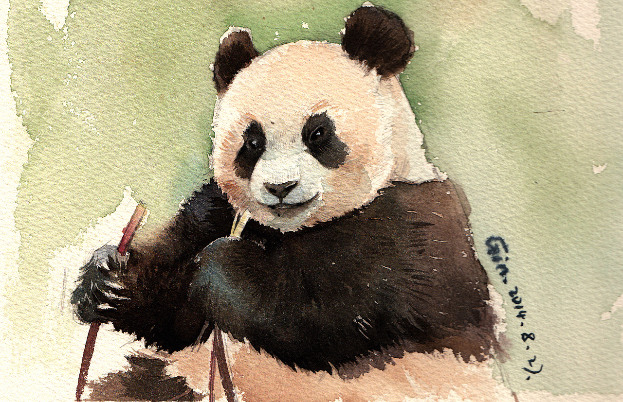 熊猫儿童插画|插画|儿童插画|圆眼牛牛 - 原创作品 - 站酷 (ZCOOL)