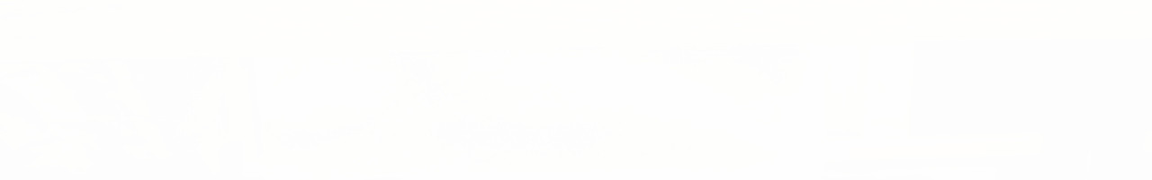 阿树君的帆布包