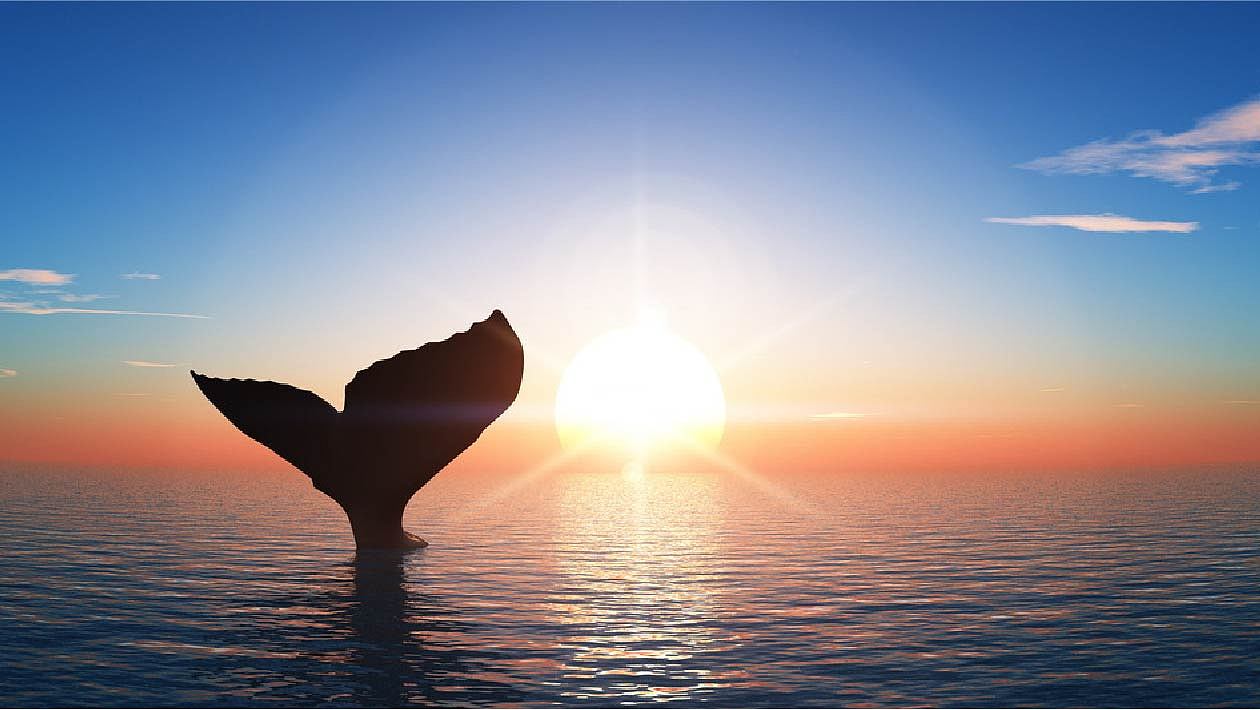 北里上镜 | 地产VI提案广告品牌项目全案设计（图ZMjg2MjYzMTI4） - 品牌 - 站酷设计师HotLand华莱视觉原创素材 - 站酷ZCOOL