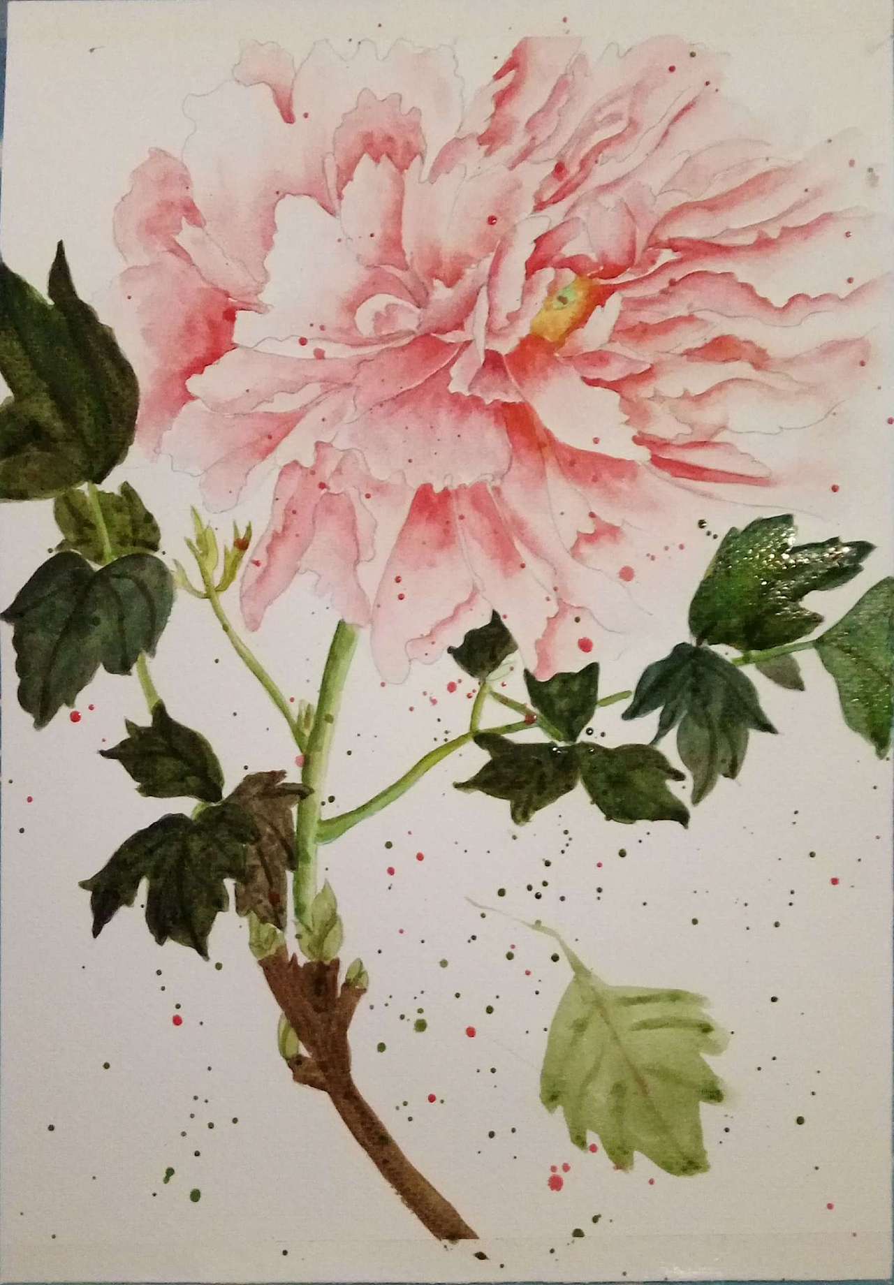 水彩（图ZNTk3MDI1MTI=） - 创作习作 - 站酷设计师甲甲玲原创素材 - 站酷ZCOOL