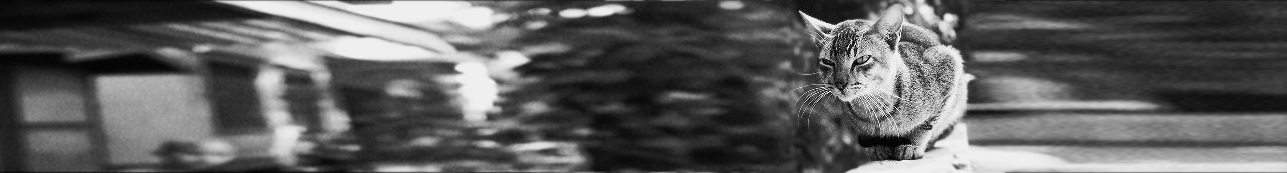 設(shè)計(jì)工匠者的個人主頁（封面預(yù)覽） - 主頁封面設(shè)置 - 站酷設(shè)計(jì)師設(shè)計(jì)工匠者原創(chuàng)素材 - 站酷ZCOOL