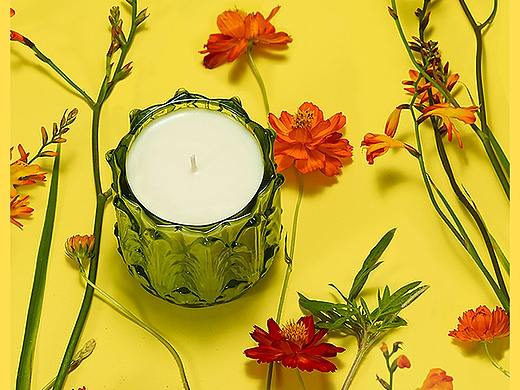 稀奇香薰公众号