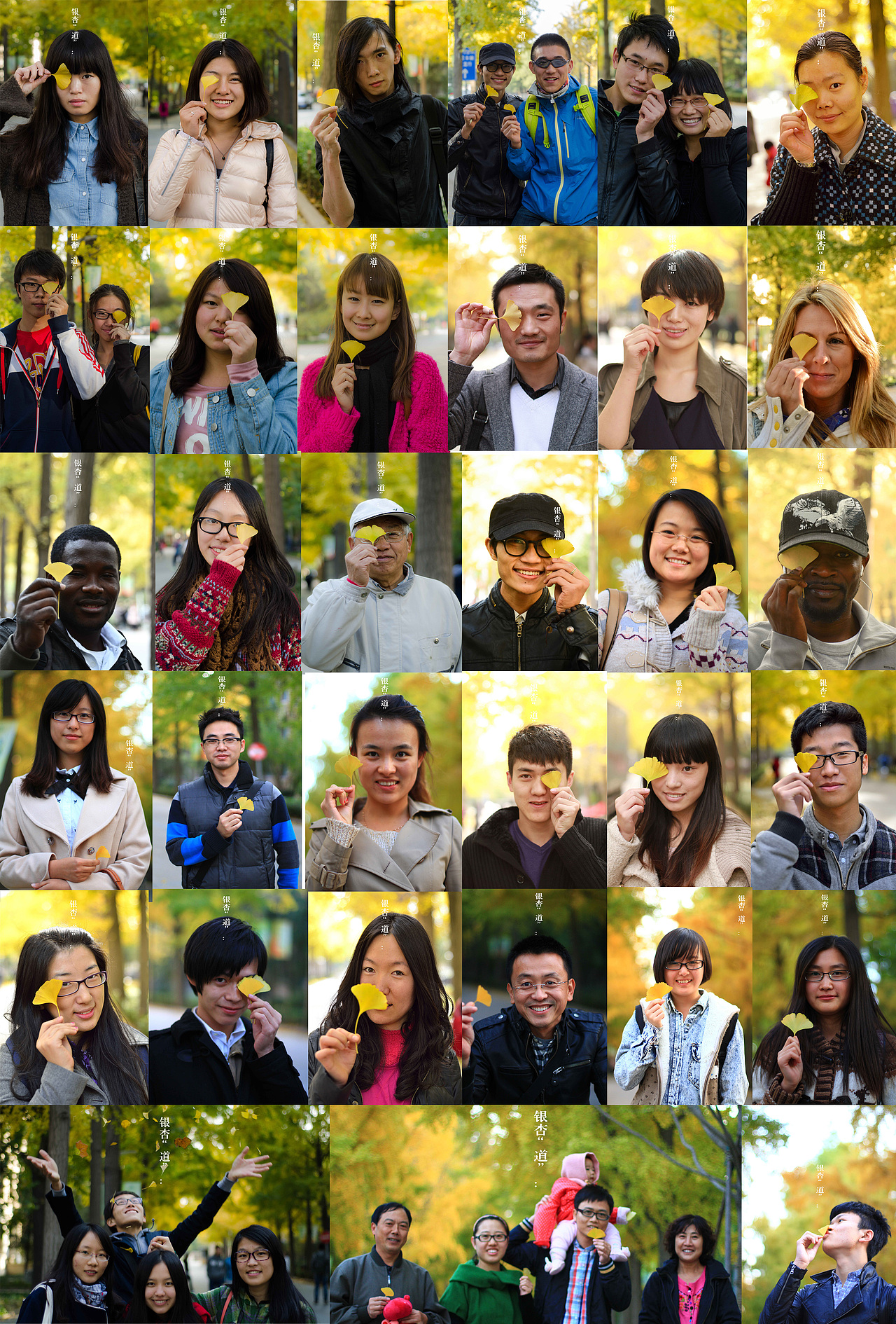 银杏“道”： #活動策劃 #北京林業大學（图ZNzQxNzY2NTY=） - 实验艺术 - 站酷设计师大倩是QueEnie原创素材 - 站酷ZCOOL