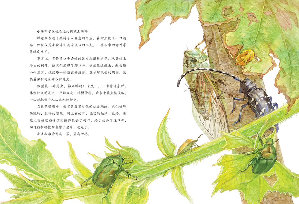 昆虫记关于蝉的名片图片