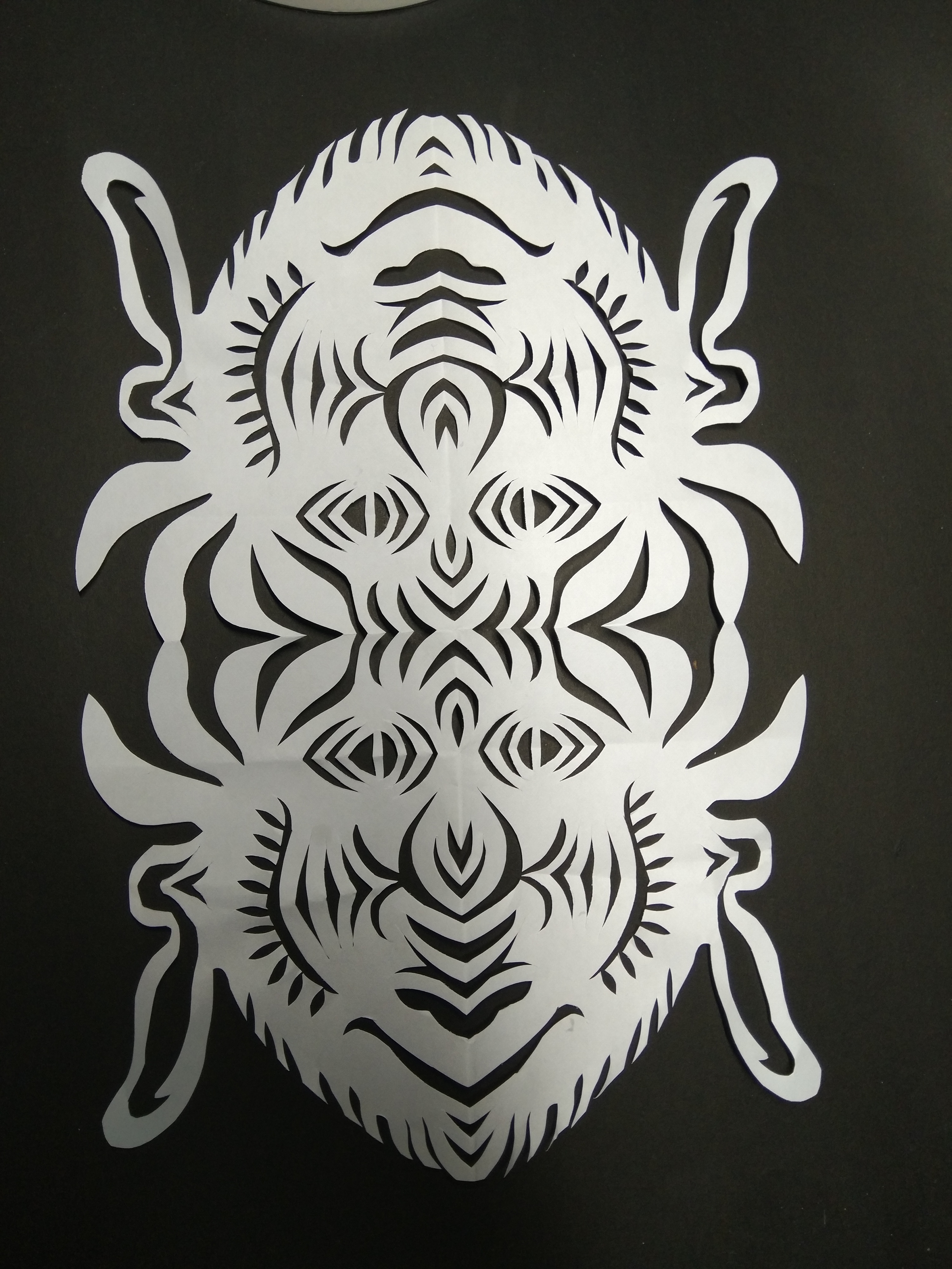 剪纸一一张a4纸各种折腾