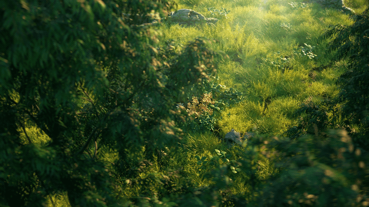 无限极-植雅系列升级产品形象片（图ZMjYzNzE0NzIw） - 动画/影视 - 站酷设计师Nieh327原创素材 - 站酷ZCOOL