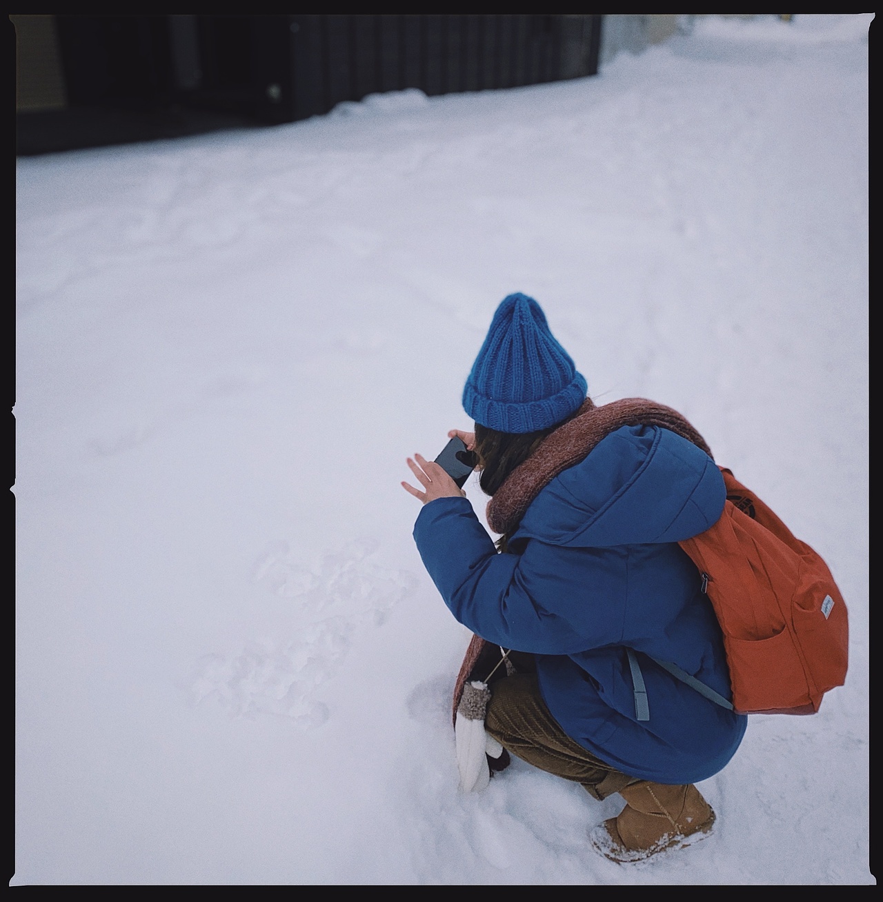 【北海道】这个大雪覆盖的札幌神社，温柔且安静。（图ZMTk2OTY1MTky） - 风光摄影 - 站酷设计师keke奇遇记原创素材 - 站酷ZCOOL