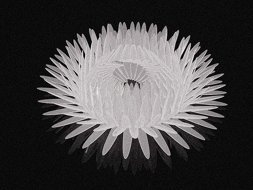 #blender学习笔记#一朵玻璃花