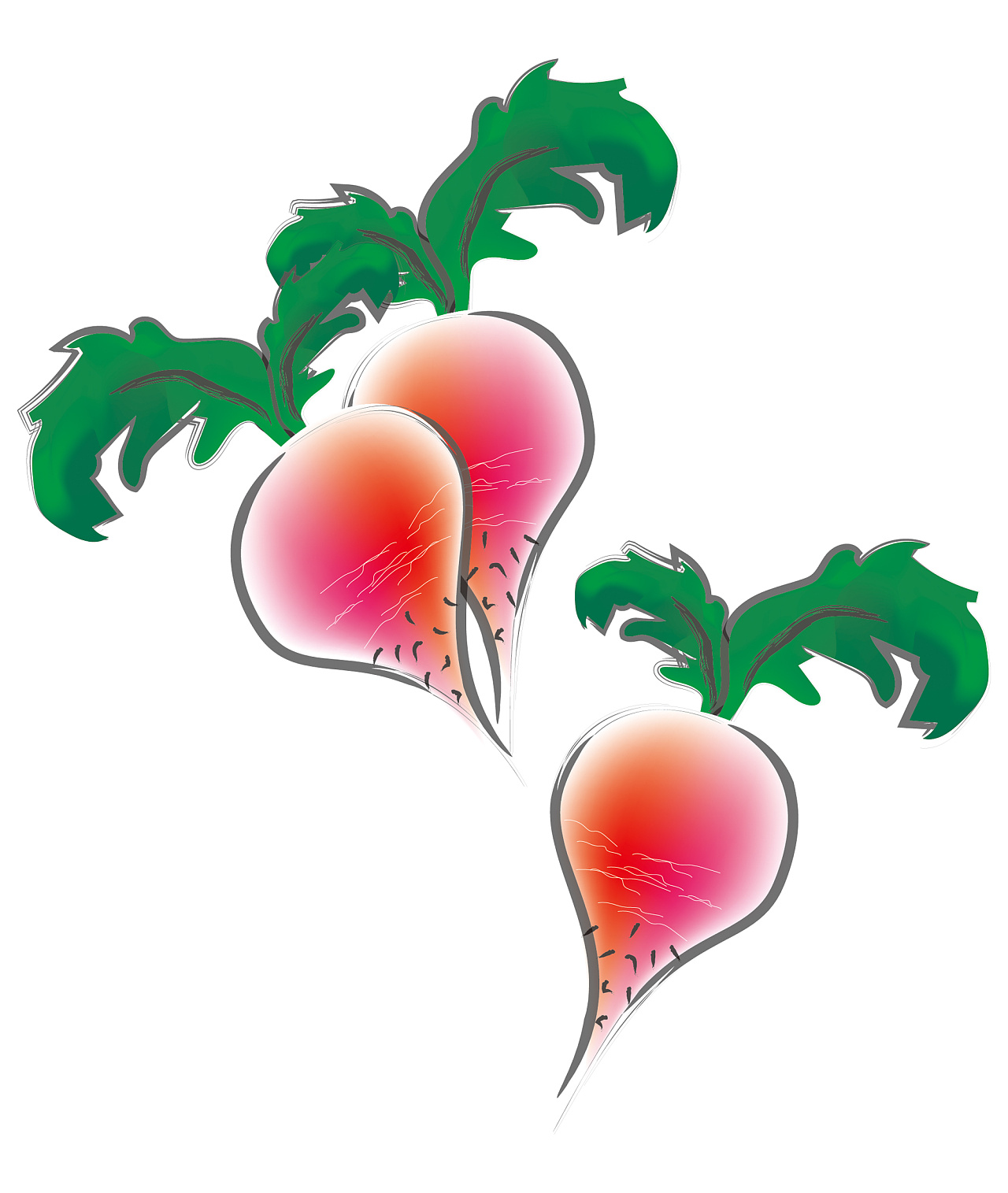 水彩萝卜|平面|图案|2011baibai - 原创作品 - 站酷 (zcool)