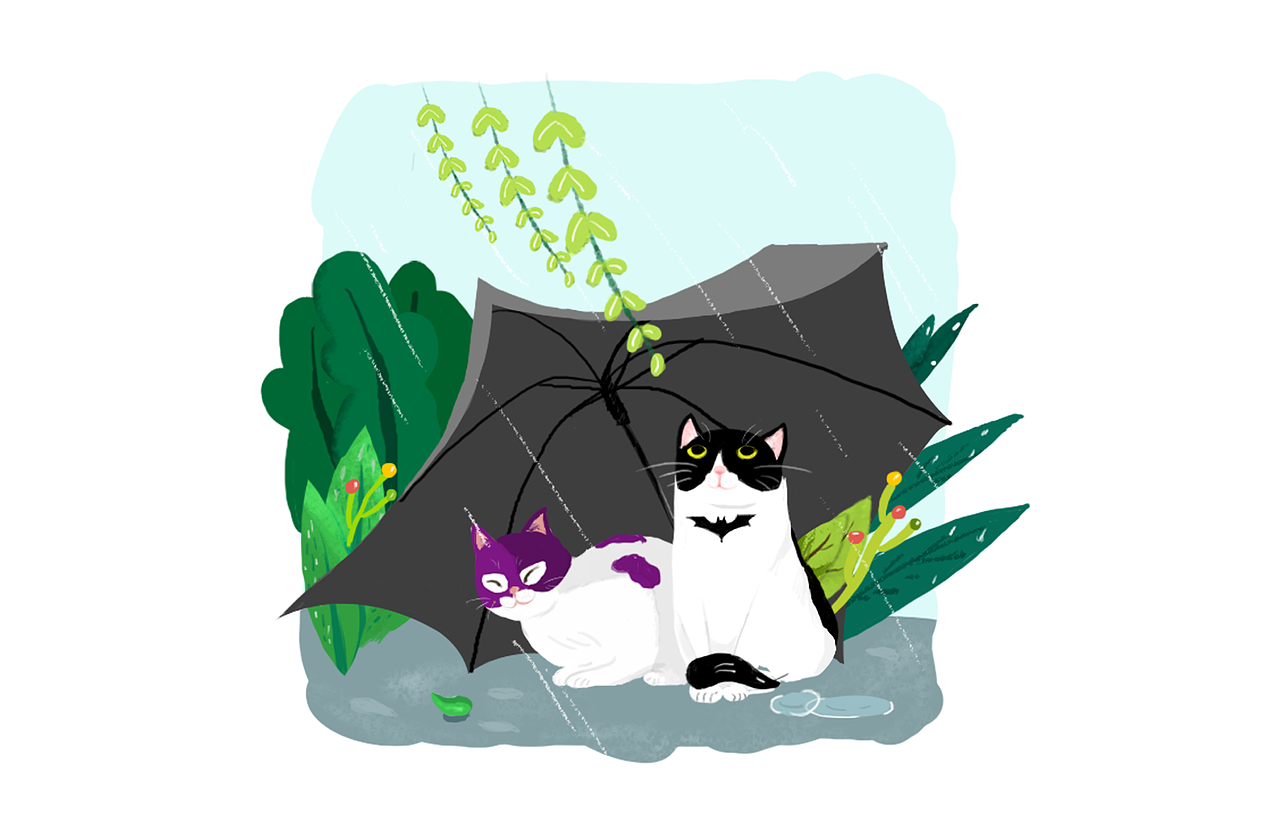 手绘 DC 蝙蝠侠猫女