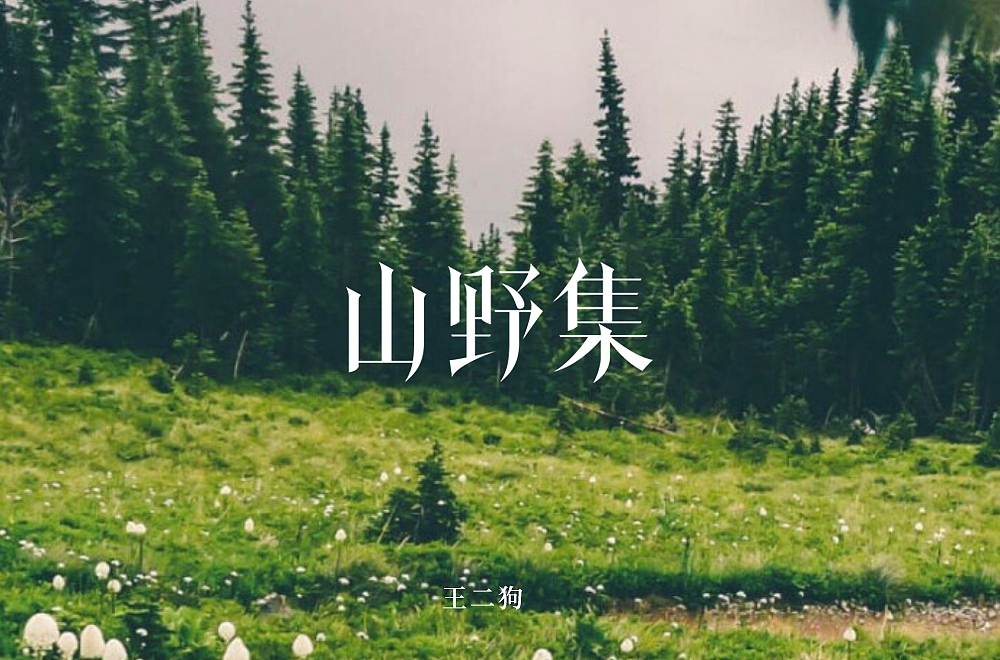 字体帮第1398篇（图ZMTg5MDkxMzQ4） - 字体/字形 - 站酷设计师字体帮原创素材 - 站酷ZCOOL