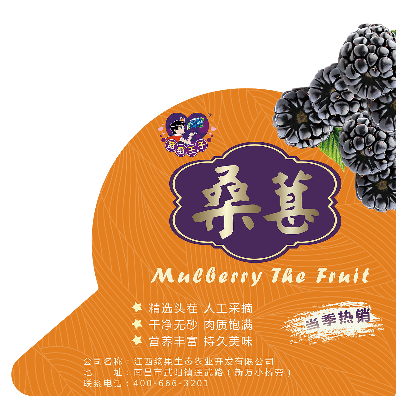 桑椹包装盒标贴设计