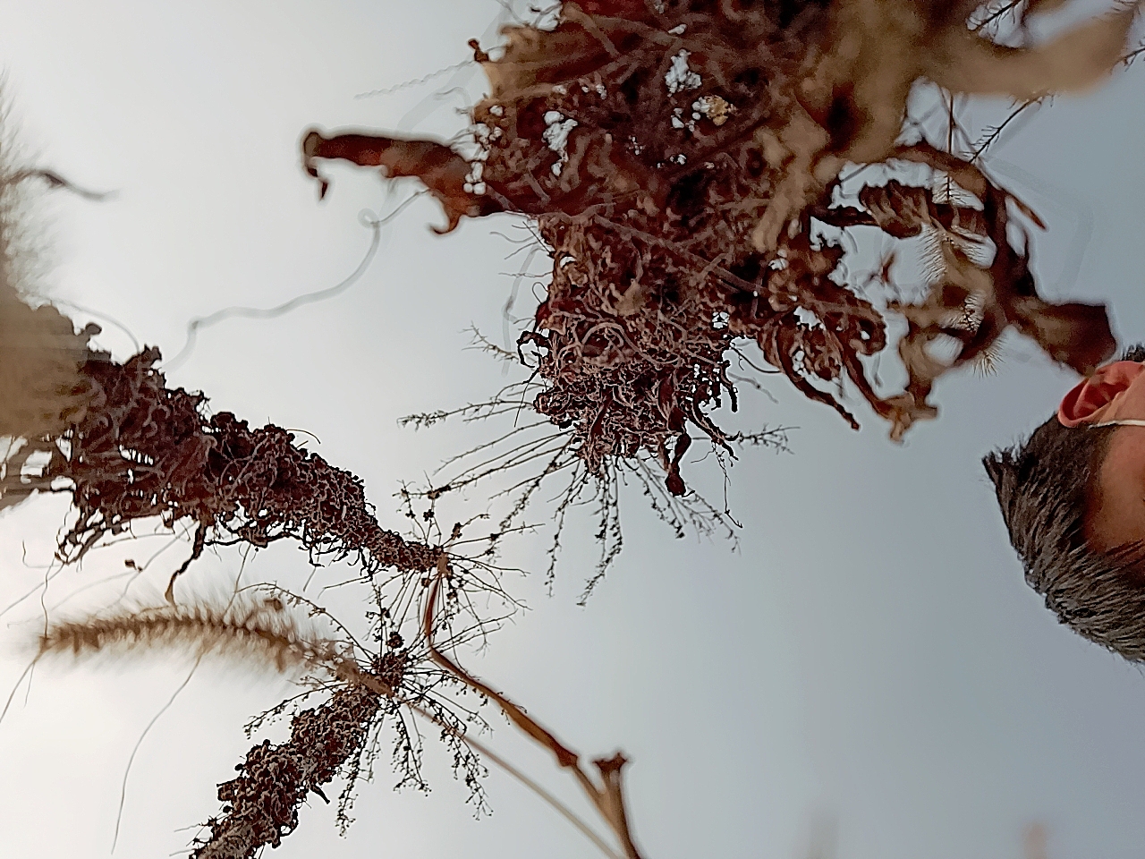 濟(jì)生攝影（圖ZMTk2NDI0MzU2） - 產(chǎn)品攝影 - 站酷設(shè)計(jì)師言吾齋原創(chuàng)素材 - 站酷ZCOOL