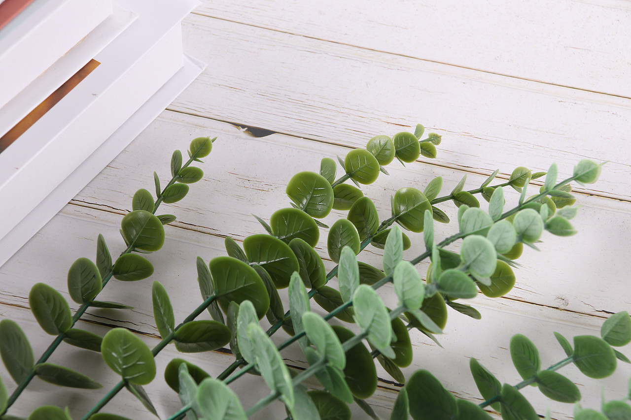 B03家居饰品\C11-仿真饰品\V06仿真尤加利叶X1