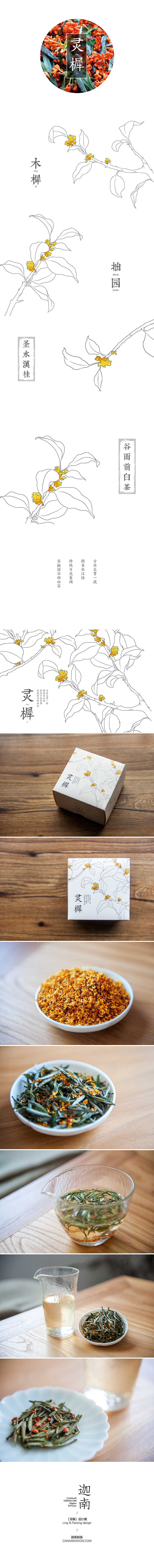 【迦南映画包装设计案】「灵樨」秋日特饮：桂花白茶（图ZMzUyMTc5ODQ=） - 包装 - 站酷设计师canaanvision原创素材 - 站酷ZCOOL