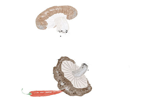 板绘/工笔/注水注粉