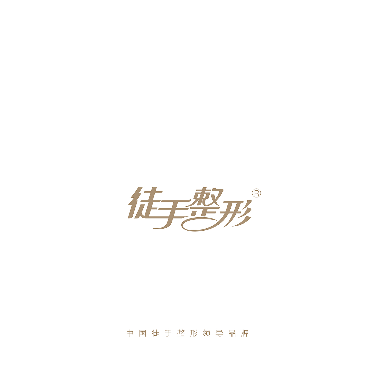 整形 画册 美容 排版 文字排版 宣传册