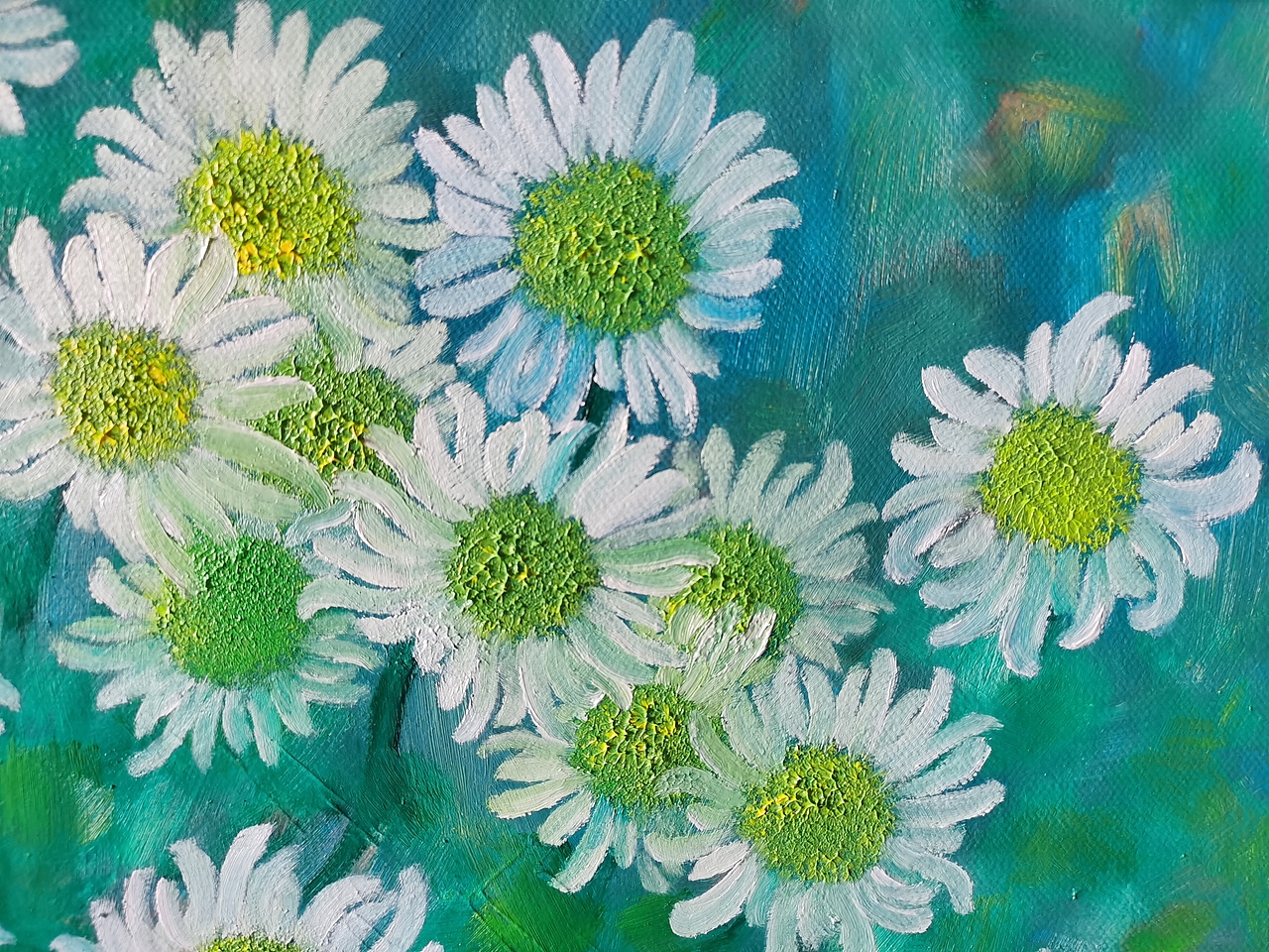 自在摇曳的小雏菊