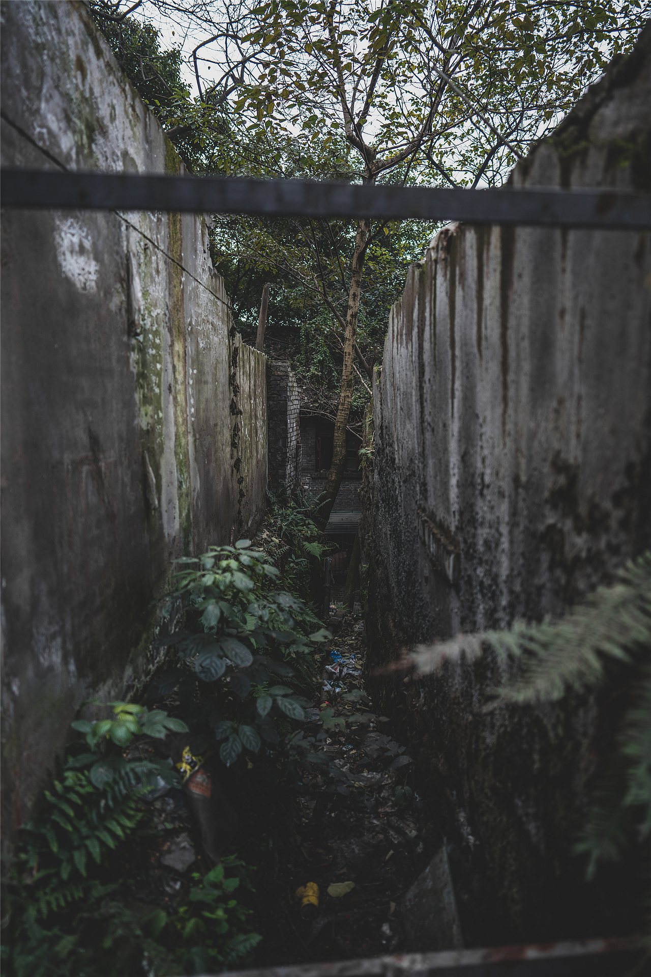 弹子石老街-重庆