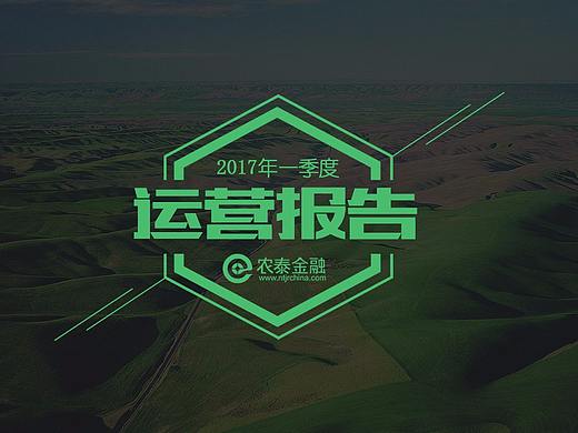 农泰金融季度运营报告