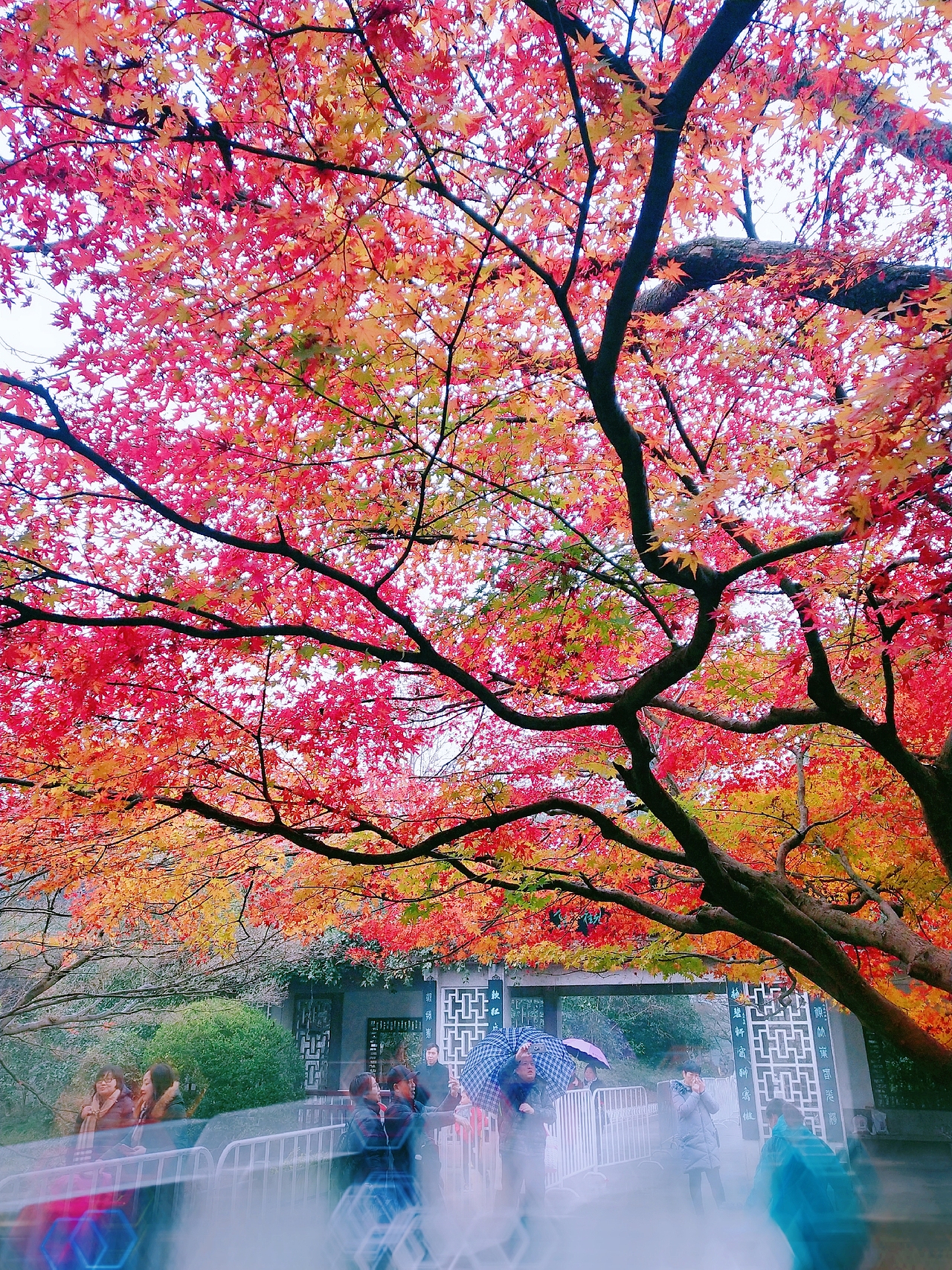 手机摄影（图ZMjA1MDEyMTQw） - 人文/纪实摄影 - 站酷设计师清水照星河原创素材 - 站酷ZCOOL