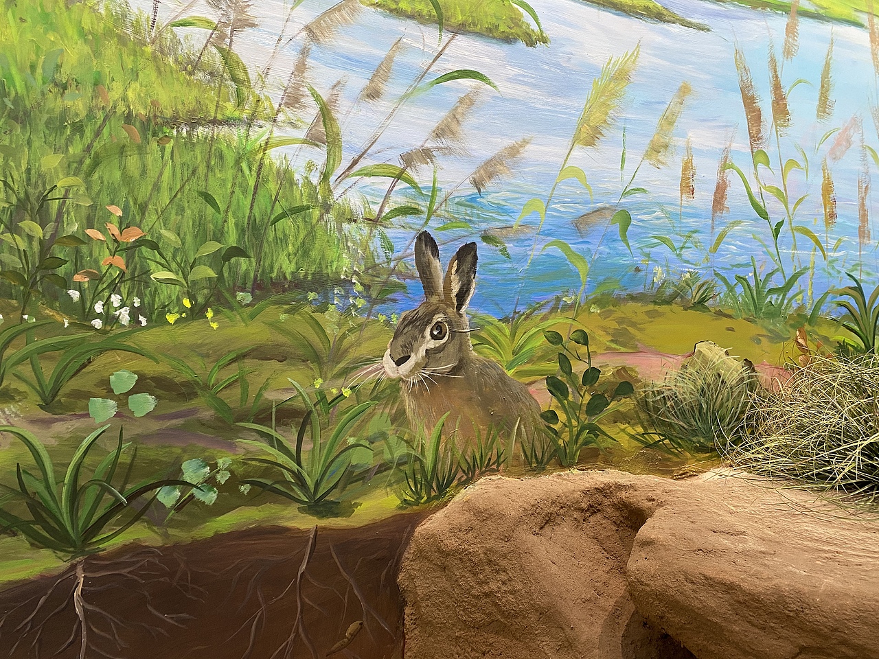 生态环境博物馆景观装置➕壁画彩绘（图ZMjQwNjU1MTMy） - 新锐潮流插画 - 站酷设计师山河绘原创素材 - 站酷ZCOOL