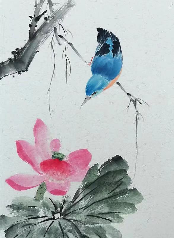 斗点爱好 - 国画 - 花鸟