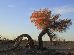 内蒙古额济纳旗
